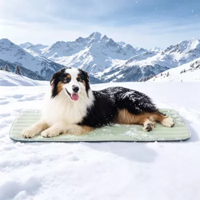 GOOPAWS Cooling Dog Mat, Self-Cooling Pet Bed for Dogs, Non-Slip Indoor & Outdoor Design, Green - Image 2