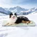 GOOPAWS Cooling Dog Mat, Self-Cooling Pet Bed for Dogs, Non-Slip Indoor & Outdoor Design, Green image thumbnail 2