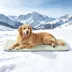 GOOPAWS Cooling Dog Mat, Self-Cooling Pet Bed for Dogs, Non-Slip Indoor & Outdoor Design, Green image thumbnail 2