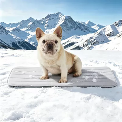 GOOPAWS Cooling Dog Mat, Self-Cooling Pet Bed for Dogs, Non-Slip Indoor & Outdoor Design, Grey - Image 2