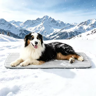 GOOPAWS Cooling Dog Mat, Self-Cooling Pet Bed for Dogs, Non-Slip Indoor & Outdoor Design, Grey - Image 2