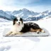 GOOPAWS Cooling Dog Mat, Self-Cooling Pet Bed for Dogs, Non-Slip Indoor & Outdoor Design, Grey image thumbnail 2
