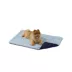 GOOPAWS Reversible Cooling Dog Mat, Self-Cooling Pet Blanket for Dogs, Indoor & Outdoor Use, Blue image thumbnail 1
