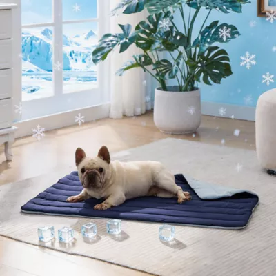 GOOPAWS Reversible Cooling Dog Mat, Self-Cooling Pet Blanket for Dogs, Indoor & Outdoor Use, Blue - Image 2
