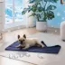 GOOPAWS Reversible Cooling Dog Mat, Self-Cooling Pet Blanket for Dogs, Indoor & Outdoor Use, Blue image thumbnail 2