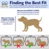 Midwest® Spree Durable Plastic Pet Carrier W/ Built-In Handle & Secure Door, Blue image thumbnail 6