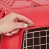 Midwest® Spree Durable Plastic Pet Carrier W/ Built-In Handle & Secure Door, Red image thumbnail 2