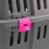 Midwest Homes for Pets Jet Travel Carrier W/ Built-In Pink Handle & Clear Door for Visibility image thumbnail 3