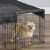 Midwest® Exercise Pen Durable Mesh Top/Sunshade, Secure Jumping & Climbing Pets, Square image thumbnail 4