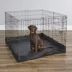 Midwest® Exercise Pen Durable Canvas Bottom, Protect Flooring From Accidents & Scracthes, Square image thumbnail 5