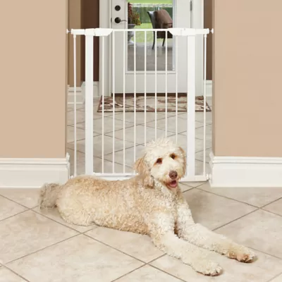 Midwest® Durable Steel Pet Gate W/ Safe & Secure Latch, Easy Installation, White - Image 2