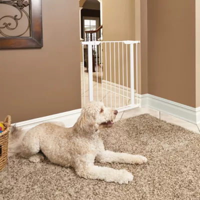 Midwest® Durable Steel Pet Gate W/ Safe & Secure Latch, Easy Installation, White - Image 3