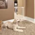 Midwest® Durable Steel Pet Gate W/ Safe & Secure Latch, Easy Installation, White image thumbnail 3