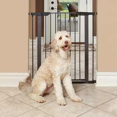 Midwest® Durable Steel Pet Gate W/ Safe & Secure Latch, Easy Installation, Graphite - Image 2