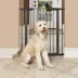 Midwest® Durable Steel Pet Gate W/ Safe & Secure Latch, Easy Installation, Graphite image thumbnail 2