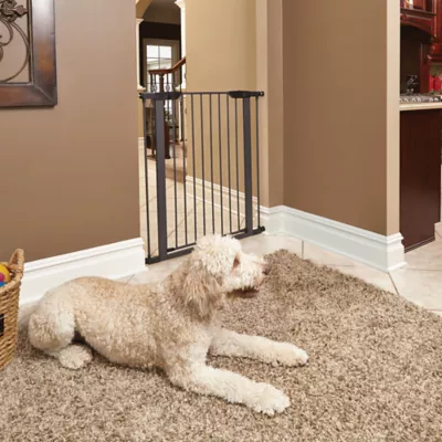 Midwest® Durable Steel Pet Gate W/ Safe & Secure Latch, Easy Installation, Graphite - Image 3