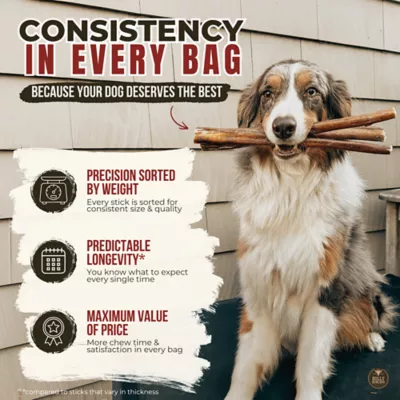 Bully Bunches - 12 Inch Standard Bully Stick, 3 Packs, 3 count each - Image 6