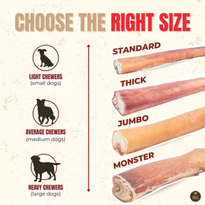 Bully Bunches - 12 Inch Jumbo Bully Stick, 3 Packs, 3 count each - Image 5