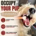 Bully Bunches - 6 Inch Standard Bully Stick, 3 Packs, 5 count each image thumbnail 2