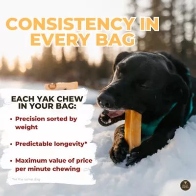 Bully Bunches Himalayan Yak Chew, 3 Packs, 1 count each - Image 2