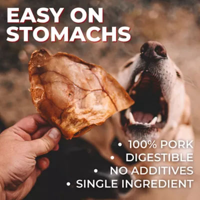 Bully Bunches - Full Pig Ear, 3 Packs, 6 count each - Image 2