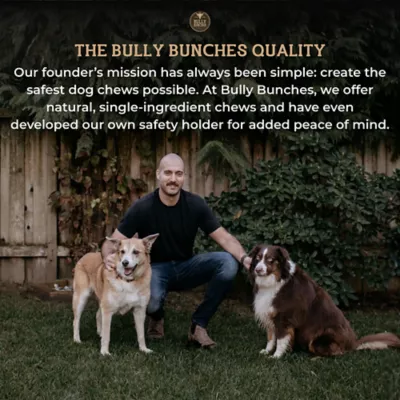 Bully Bunches - Full Pig Ear, 3 Packs, 6 count each - Image 4