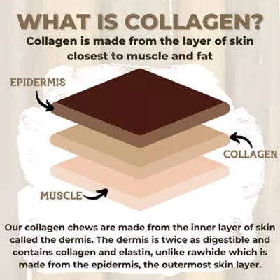 Bully Bunches - 6 Inch Collagen Stick, 3 Packs, 5 count each - Image 5