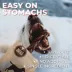 Bully Bunches - 6 Inch Beef Jerky Strip, 3 Packs, 12 count each image thumbnail 2