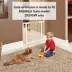Midwest® Steel Pet Gate Extension For 29 Inch Tall Durable Gate, Lead-Free & Chew Proof, White image thumbnail 3