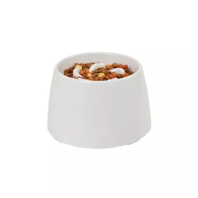 Richell Raised Slow-Feeder Dog Food Bowl Made W/ Dishwasher-Safe Plastic, Prevents Overeating - Image 3