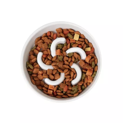 Richell Raised Slow-Feeder Dog Food Bowl Made W/ Dishwasher-Safe Plastic, Prevents Overeating - Image 4