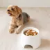 Richell Raised Slow-Feeder Dog Food Bowl Made W/ Dishwasher-Safe Plastic, Prevents Overeating image thumbnail 6