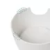 Richell Raised Slow-Feeder Dog Food Bowl Made W/ Dishwasher-Safe Plastic, Prevents Overeating image thumbnail 10