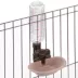 Richell Gravity Pet Rehydratoin Station W/ Attachable Bottle, Mount on Wire Gate, Pen, Or Crate image thumbnail 3