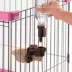 Richell Gravity Pet Rehydratoin Station W/ Attachable Bottle, Mount on Wire Gate, Pen, Or Crate image thumbnail 5