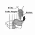 Richell Gravity Pet Rehydratoin Station W/ Attachable Bottle, Mount on Wire Gate, Pen, Or Crate image thumbnail 8