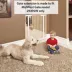 Midwest® Steel Pet Gate Extension For 39 Inch Tall Durable Gate, Lead-Free & Chew Proof, White image thumbnail 4