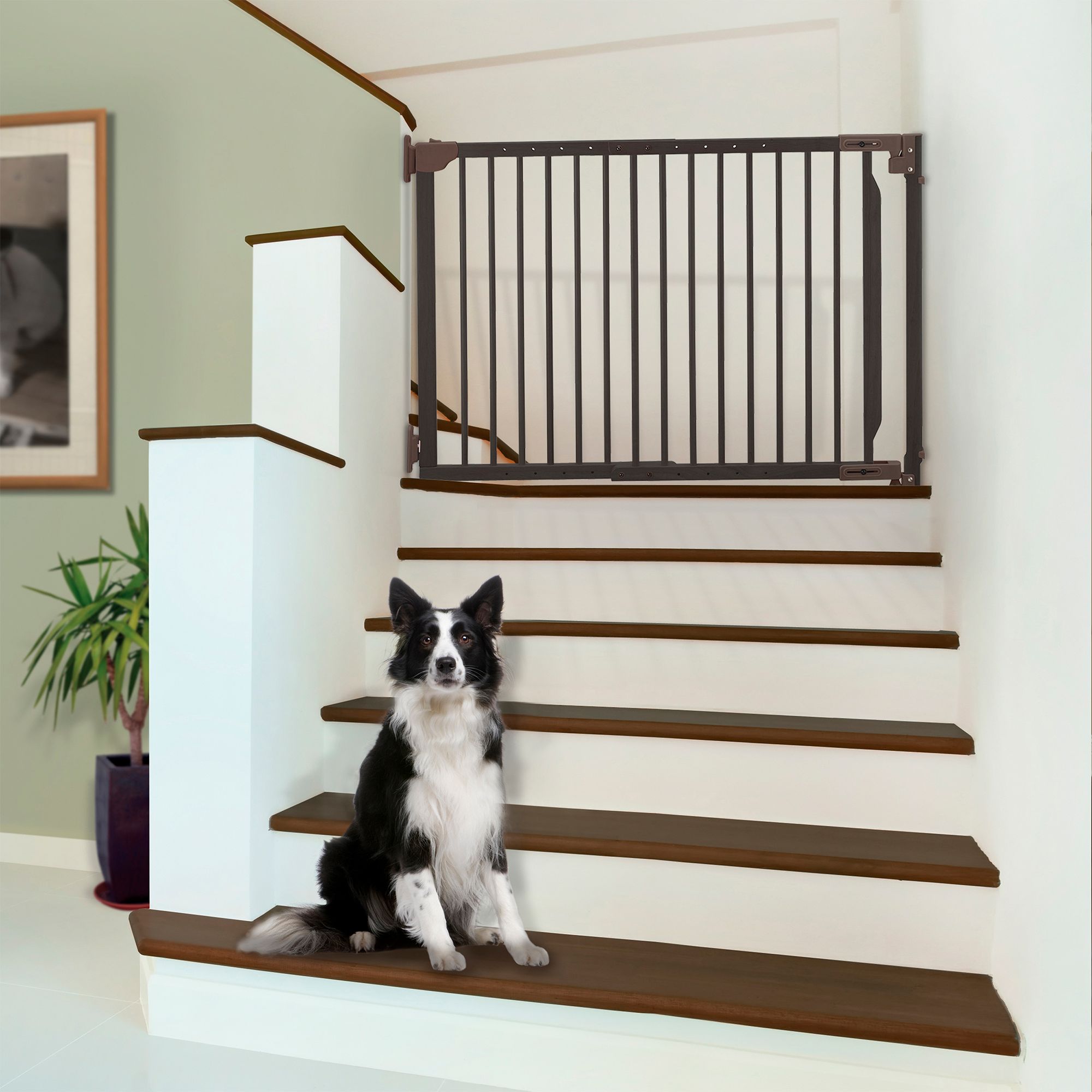 Richell Expandable Walk-Through Wooden Pet Gate, Requires Wall Attachment - thumbnail 2