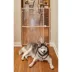 Midwest® Wire Mesh Pet Safety Gate W/ Wooden Gate, Expands 29-50 Inches Wide image thumbnail 2