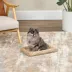 Midwest® QuietTime Deluxe Wave Bolster Bed For Pets, Machine Washable & Dryable, Tan image thumbnail 3
