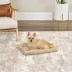 Midwest® QuietTime Deluxe Wave Bolster Bed For Pets, Machine Washable & Dryable, Tan image thumbnail 3