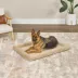 Midwest® QuietTime Deluxe Wave Bolster Bed For Pets, Machine Washable & Dryable, Tan image thumbnail 3