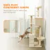 PawHut 63 Inch Cat Tree with Sisal Scratching Posts, Condos, Plush Perches, Hammock image thumbnail 6