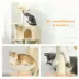 PawHut 63 Inch Cat Tree with Sisal Scratching Posts, Condos, Plush Perches, Hammock image thumbnail 7