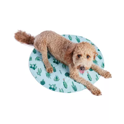 GF Pet - Ice Mat Pet Cooling Mat - Cactus - Image 1