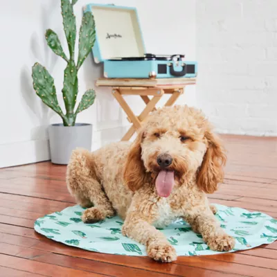 GF Pet - Ice Mat Pet Cooling Mat - Cactus - Image 3