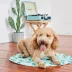 GF Pet - Ice Mat Pet Cooling Mat - Cactus image thumbnail 3