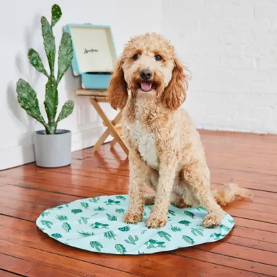 GF Pet - Ice Mat Pet Cooling Mat - Cactus - Image 4