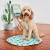 GF Pet - Ice Mat Pet Cooling Mat - Cactus image thumbnail 4