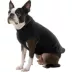 Gooby Stretch Fleece Pullover Dog Vest, Multiple Colors, X Small - 6X Large image thumbnail 1